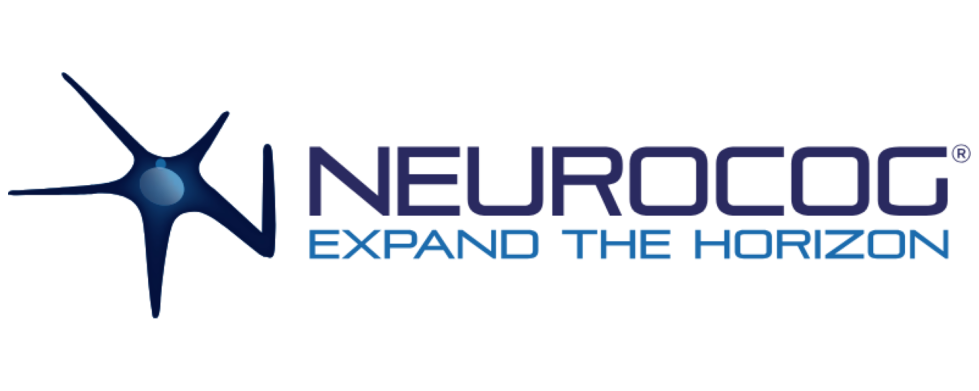 NeuroCog System